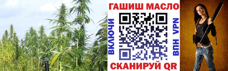 Купить закладки  Северодвинск  Дистиллят ТГК жижа 
