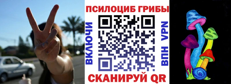 Псилоцибиновые грибы MAGIC MUSHROOMS  Купить где  Северодвинск 